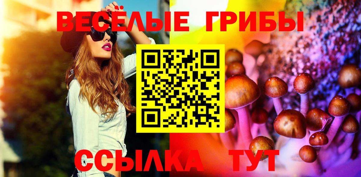 Артём  Псилоцибиновые грибы GOLDEN TEACHER  Вход с VPN 
