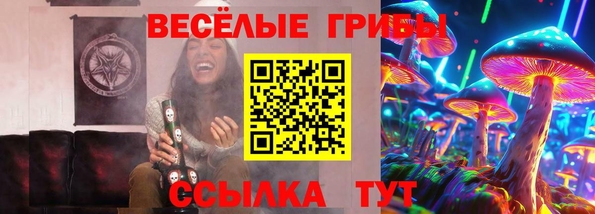 Галлюциногенные грибы Psilocybe Артём