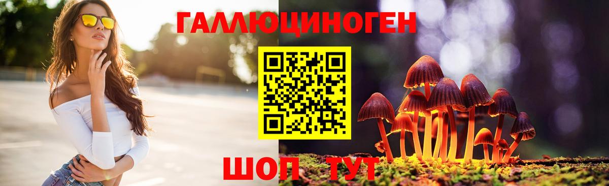 Псилоцибиновые грибы GOLDEN TEACHER  Галлюциногенные грибы Psilocybe  Артём 